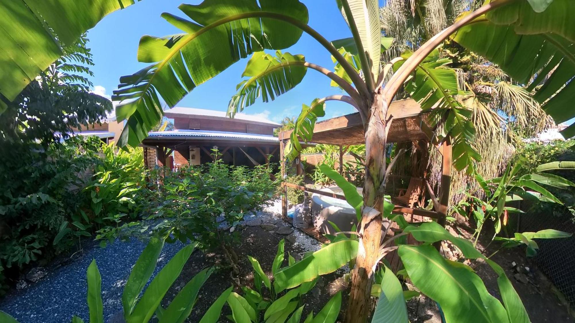 Villa Kaz Créole Jardin et Jacuzzi Privés Saint-Francois  Esterno foto